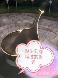 带着生活技能系统快穿