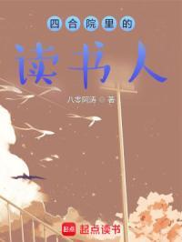 四合院分析