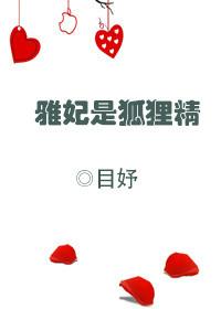 雅妃的身份