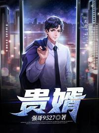 贵婿 笑佳人百度
