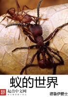 蚂蚁的世界是什么