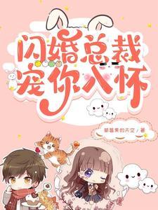 闪婚总裁宠妻有理
