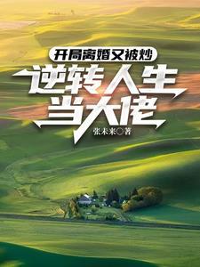 开局离婚的明星