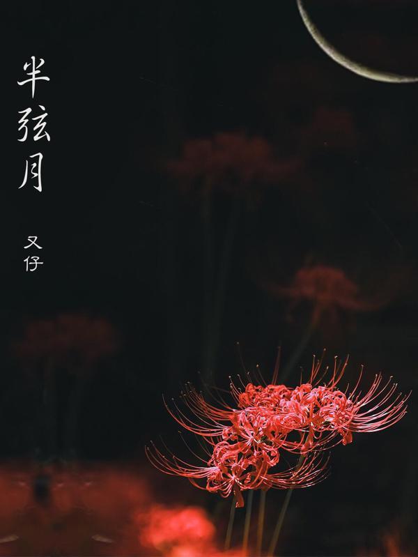 半弦月是什么牌子