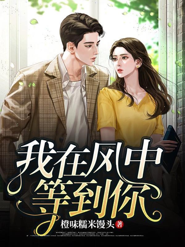 抖音里我在风中等你是什么歌