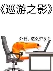 巡游是什么意思?