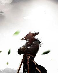 魅魔魔法师 月寂烟雨 免费