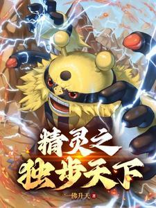 宝可梦神战