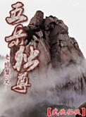 五岳独尊酒52度500ml价格